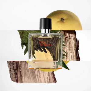 Hermes Terre D'Hermes Eau De Toilette (SCENTIQ)