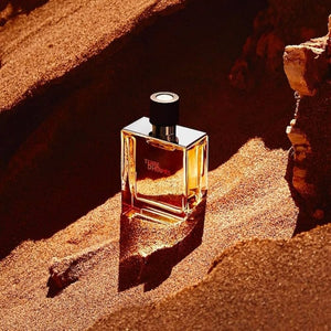 Hermes Terre D'Hermes Eau De Toilette (SCENTIQ)