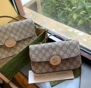 Guccii Purse (Scentiq)AV178
