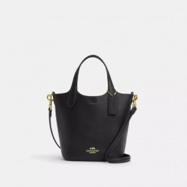 Coachh Hanna Bucket Bag Natural Multi with Box (Scentiq) AV077