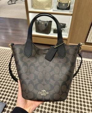 Coachh Hanna Bucket Bag Natural Multi with Box (Scentiq)AV076